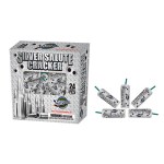 SilverSalute1